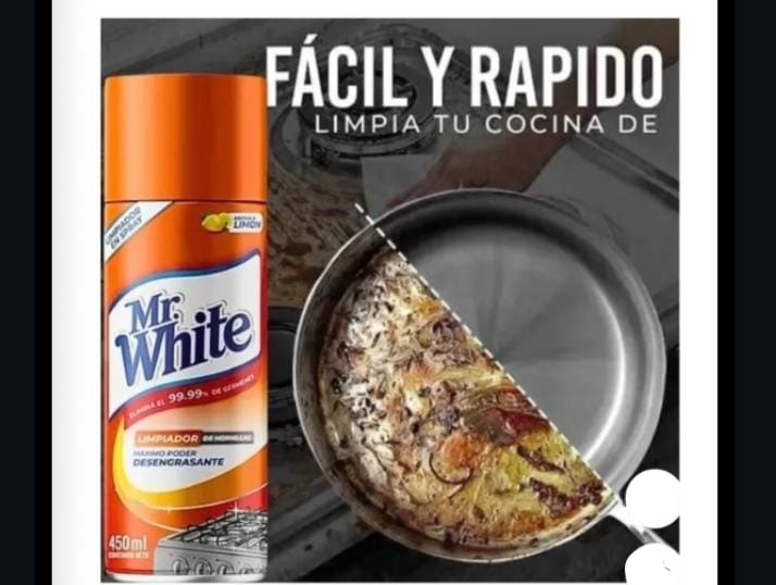 QUITA GRASA DE COCINA Mr. WHITE